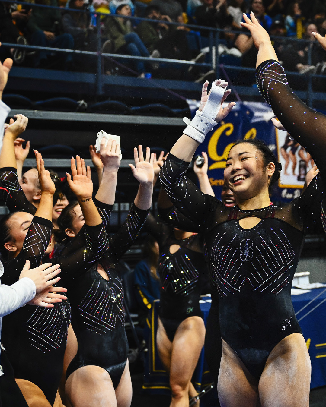 UI Opens a New Home for Gymnastics and Spirit Squads