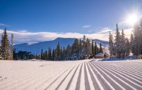 Vermont ski resorts welcome projected snow this weekend as the season comes to an end