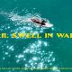 WAIKIKI SWELL IN APRIL 2025