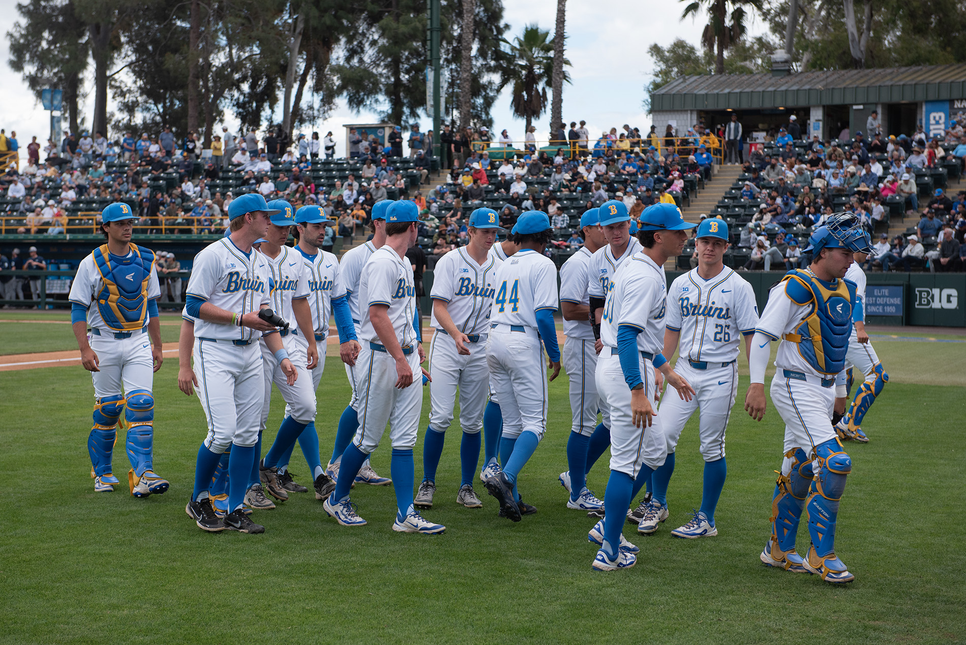 2025 NCAA Baseball Tournament
