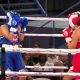 A total success at the first WBO Amanda Serrano Championships