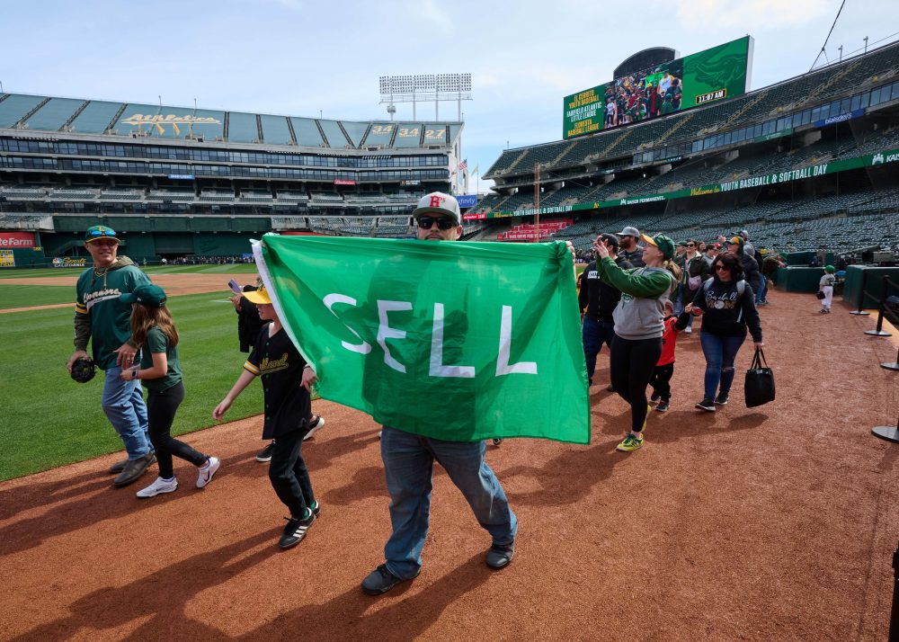 Area youth baseball results
