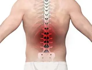 Back