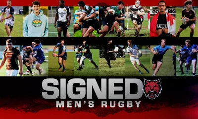 Bulldog becomes Wildcat