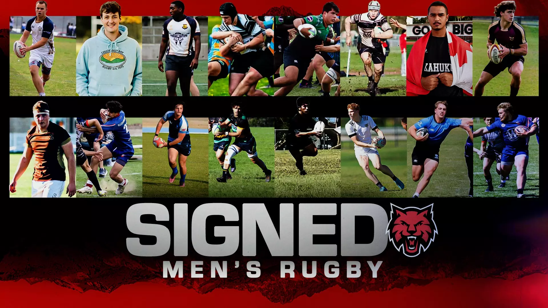 Bulldog becomes Wildcat