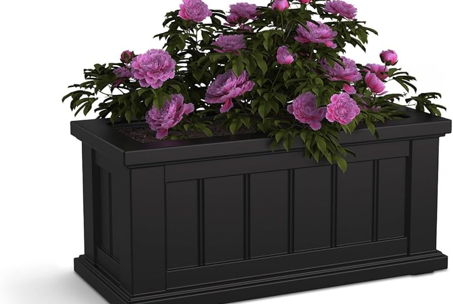 Cape Cod high school scores and highlights from May 31.