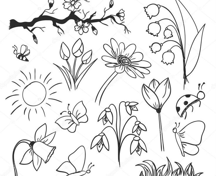 Casper College Community Ed Classes Feature Cobbler Cupcakes, Spring Sketches, Pistol ...