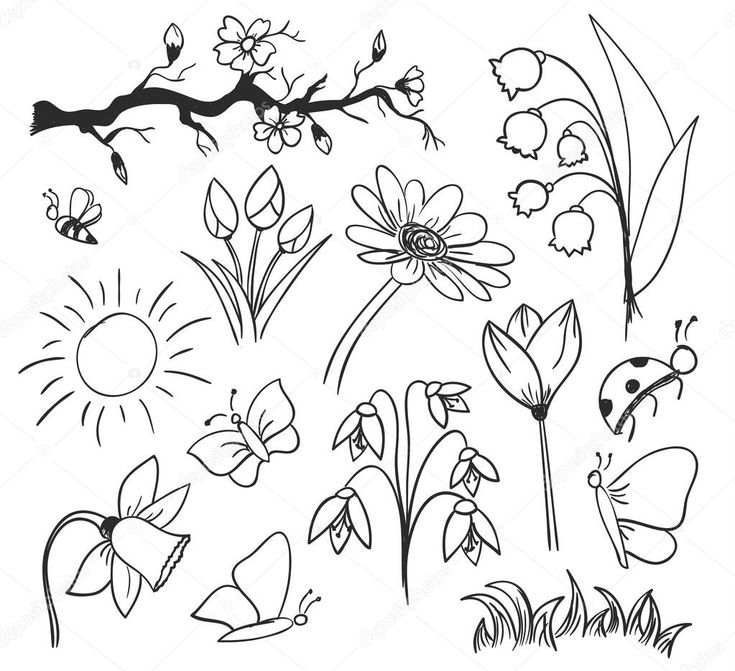 Casper College Community Ed Classes Feature Cobbler Cupcakes, Spring Sketches, Pistol ...