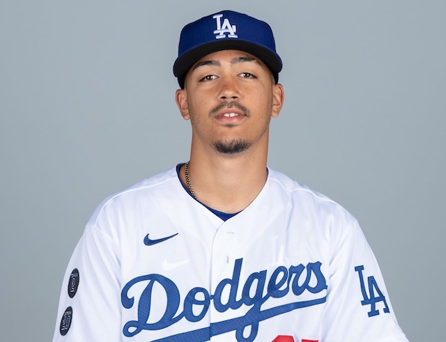Dodgers minors