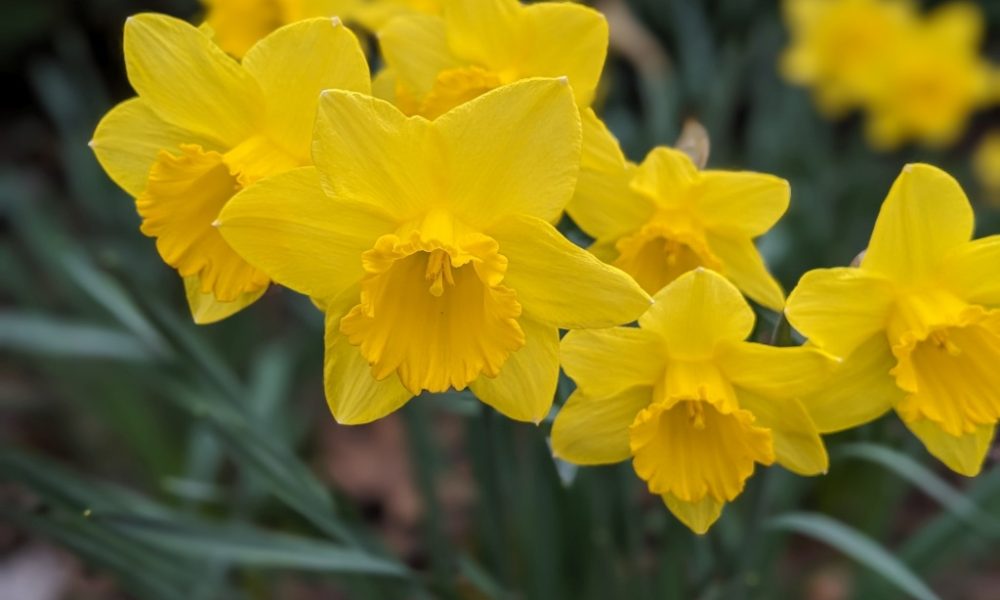 Early Season Checkup