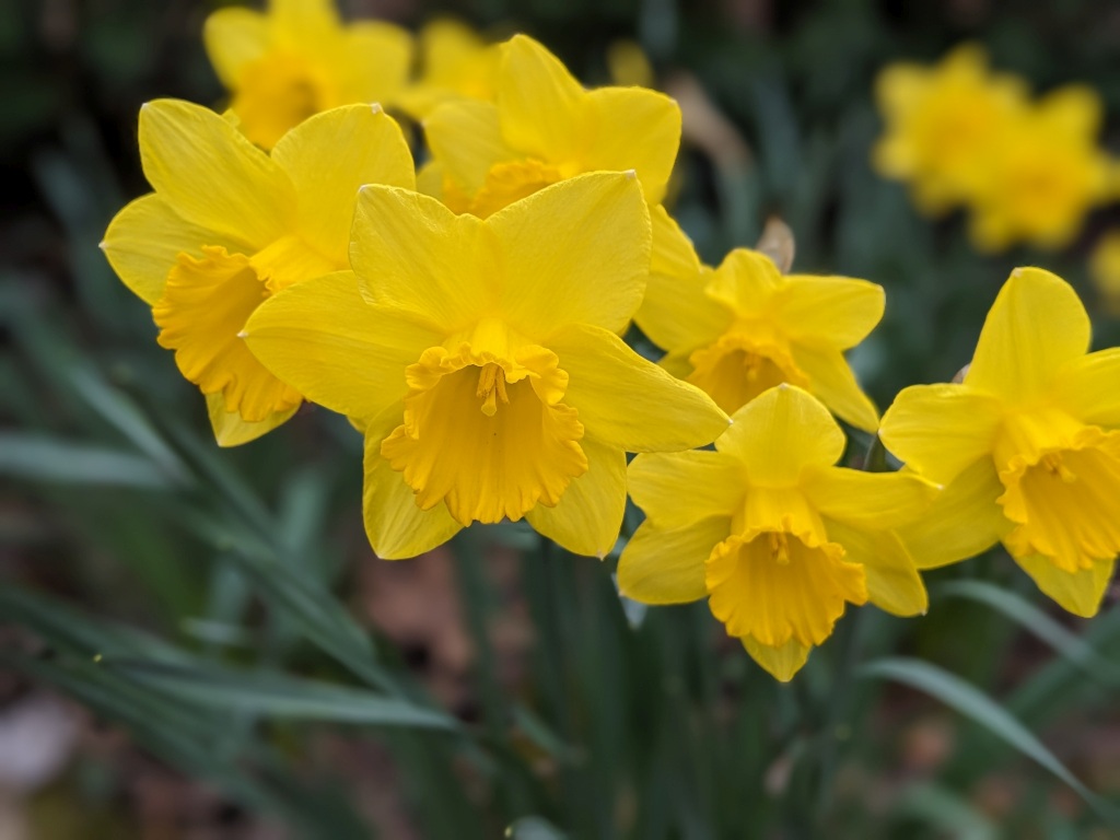 Early Season Checkup