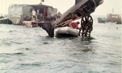 Endurance athlete doing record swim where Jaws was filmed 'more terrified of a world without sharks'