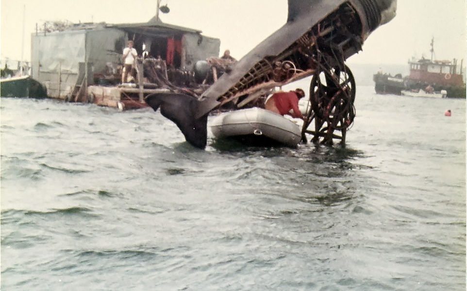 Endurance athlete doing record swim where Jaws was filmed 'more terrified of a world without sharks'