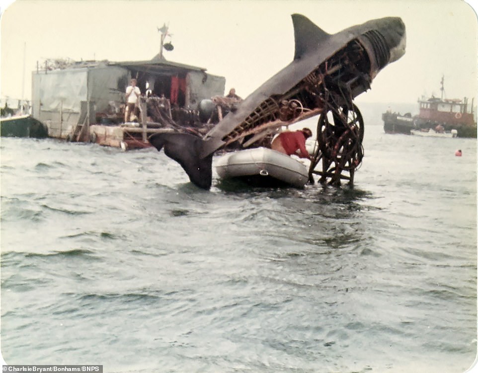 Endurance athlete doing record swim where Jaws was filmed 'more terrified of a world without sharks'