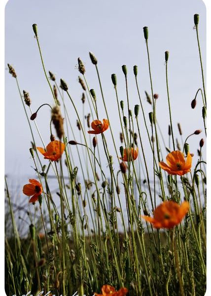 Even Without Summer Sun, Exercise Keeps Vitamin D Active