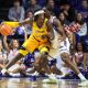 Four new faces join Tigers basketball program