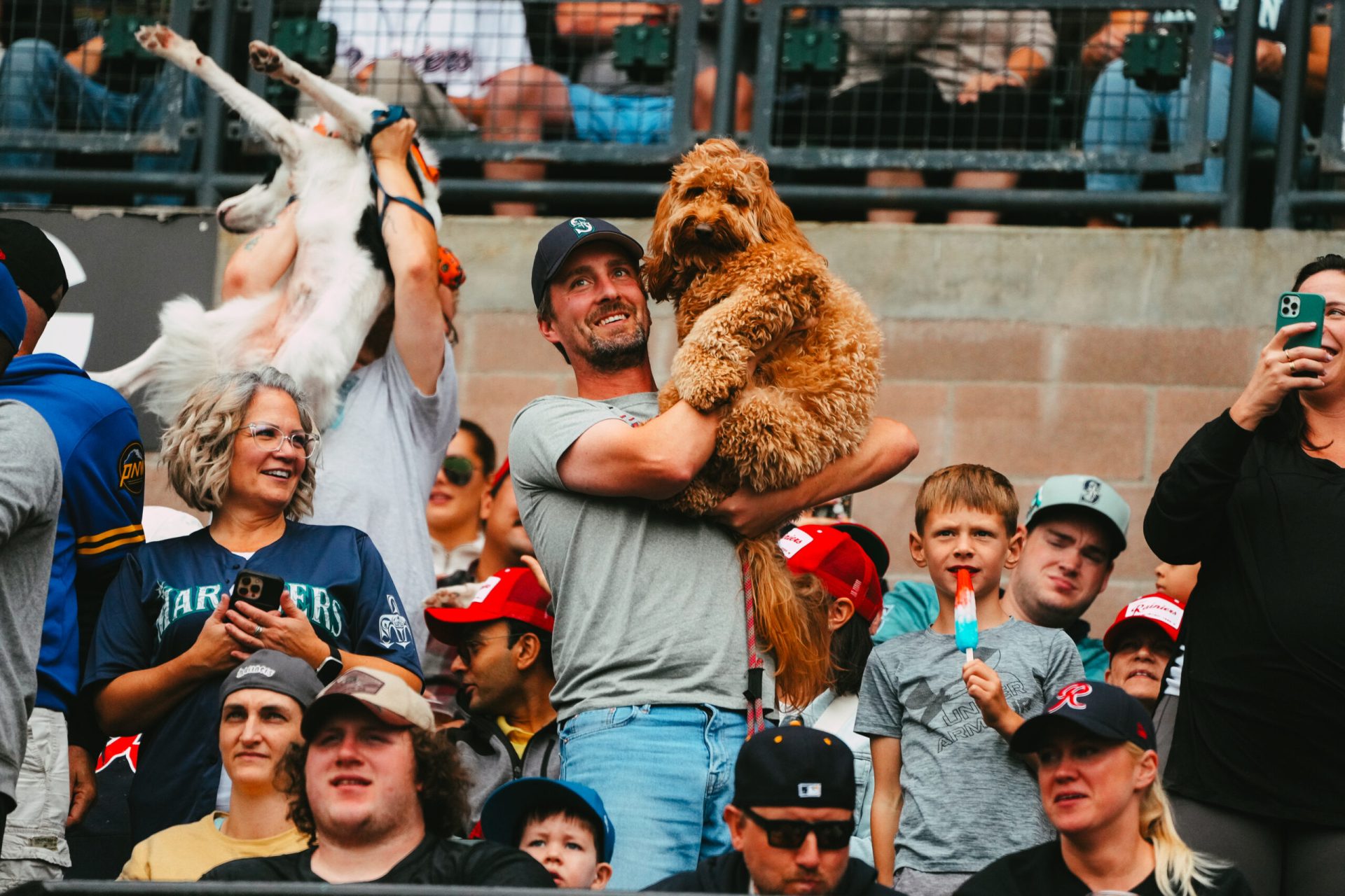 Hickory Crawdads baseball loses 4th game to Columbia in 6 game series