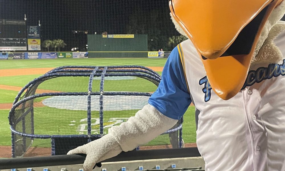 Horry County Council votes in favor of Myrtle Beach Pelicans' 30