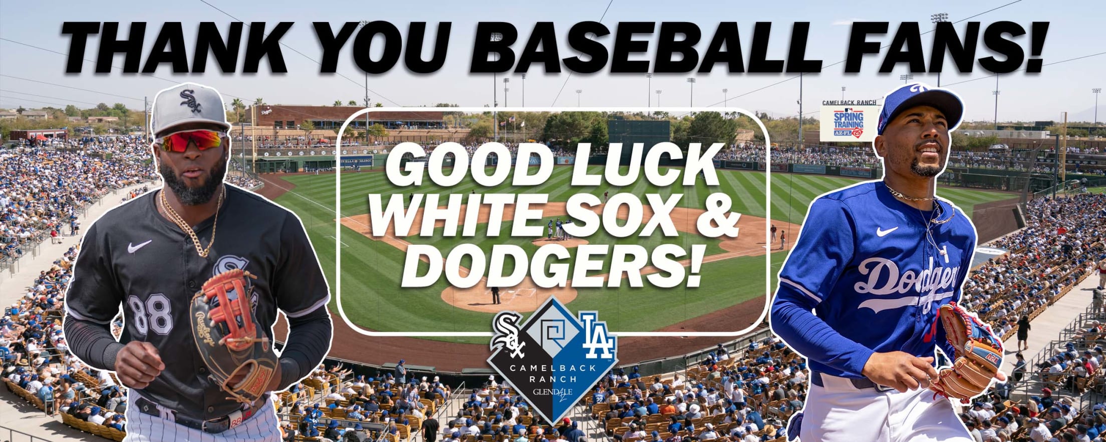 How officials plan to make professional baseball stick in Tucson