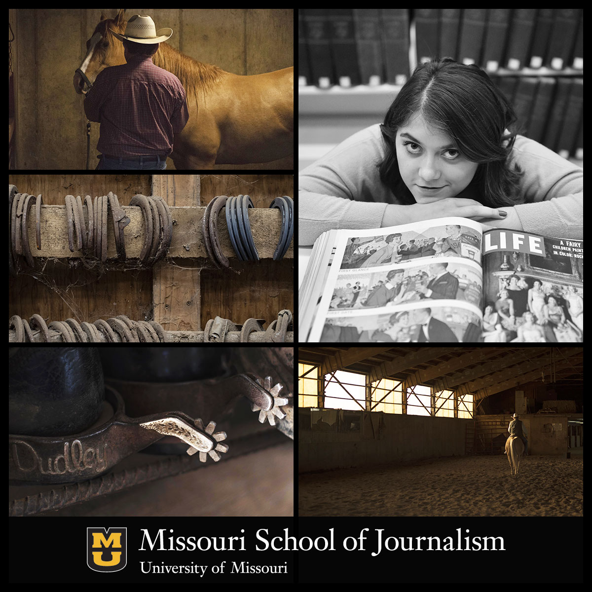 Journalism Showcase