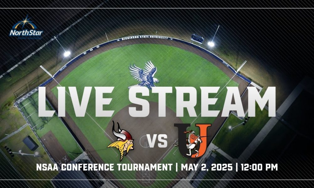 Late Lead Slips Away as Wheeling Softball Falls to Davis & Elkins in MEC Tournament ...