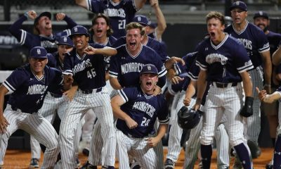 Liberty placed in College Station Regional in NCAA Softball Championship
