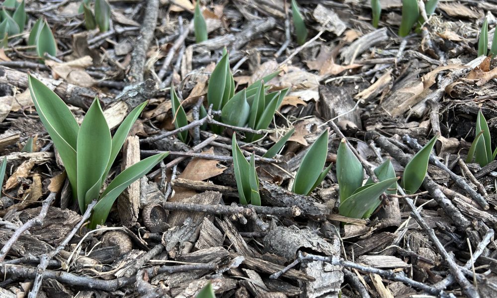 'MAVRIX' Is A Mountain Biking Game From Red Bull Athlete Matt Jones, Coming to Early ...