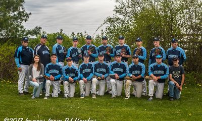 MDI Baseball Walks