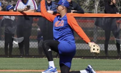 Mets Minor League Notes