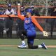 Mets Minor League Notes