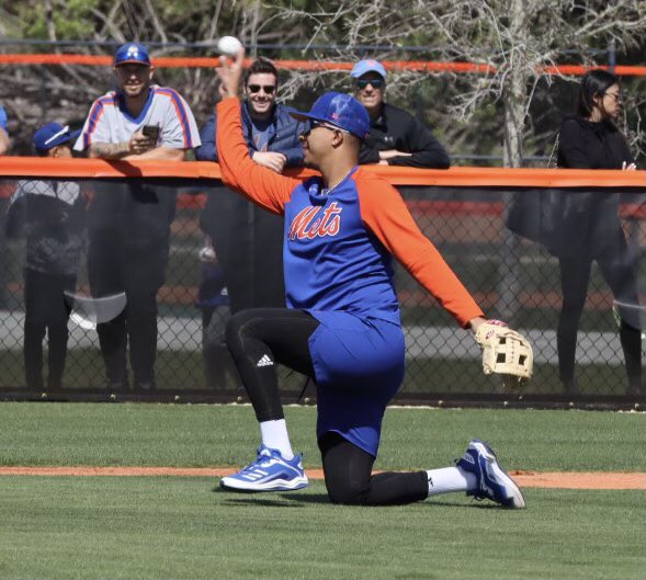 Mets Minor League Notes