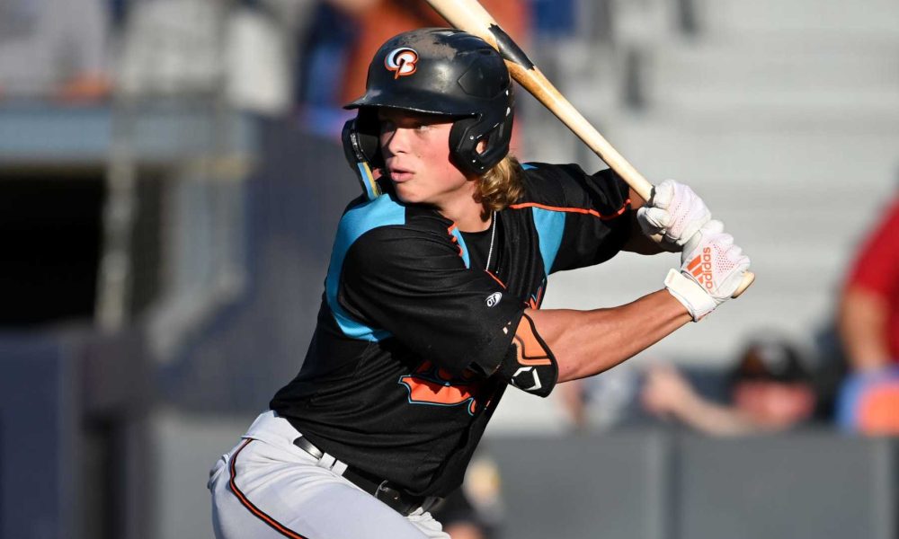 Minor league baseball