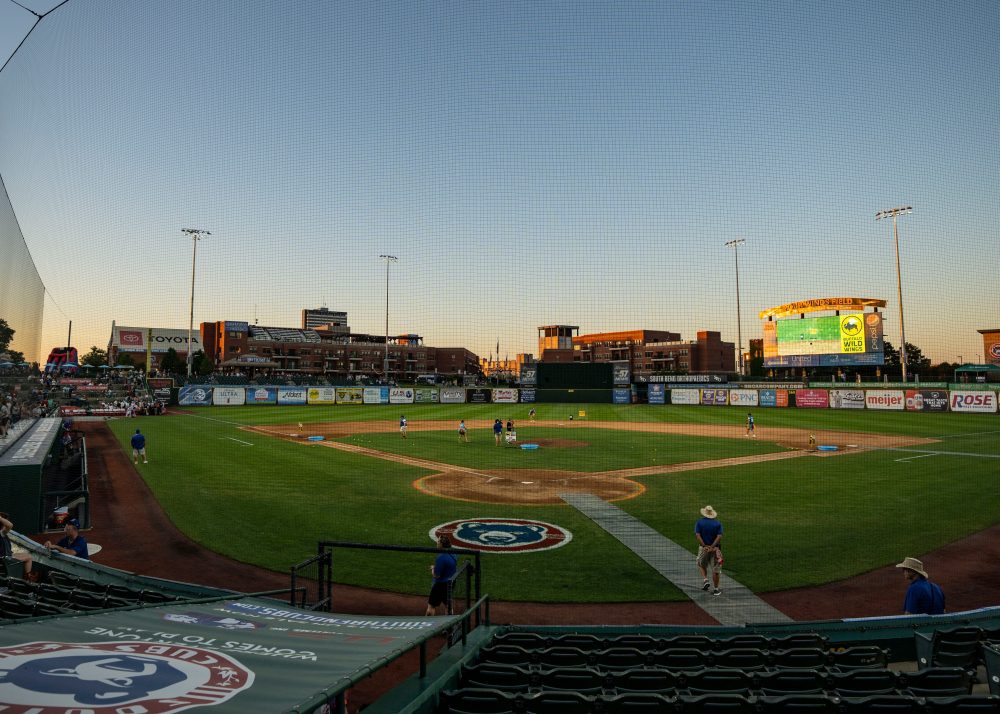 Minor League Baseball