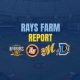 Minor League Wrap