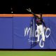 New York's newest face makes an unexpected Yankee Stadium appearance