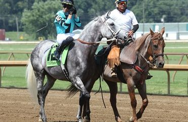 No Kentucky Derby winner Sovereignty in Preakness highlights some philosophical horse ...