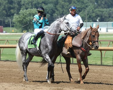 No Kentucky Derby winner Sovereignty in Preakness highlights some philosophical horse ...
