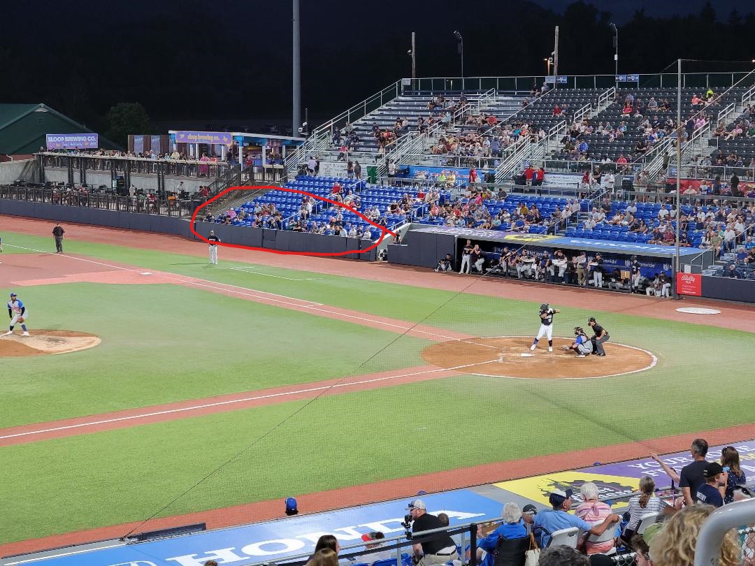 Renegades Minor League Baseball