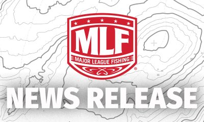 SVG New Sponsor Spotlight