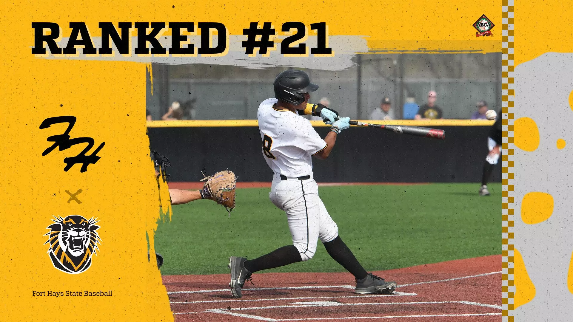 Three from NPU Baseball earn ABCA All