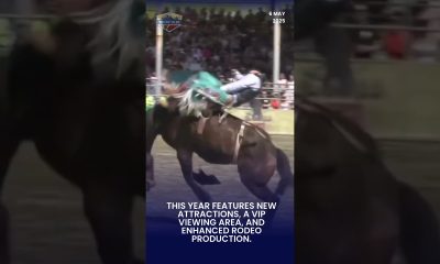 Top 10 things to do, see and eat at Cloverdale Rodeo on May long weekend