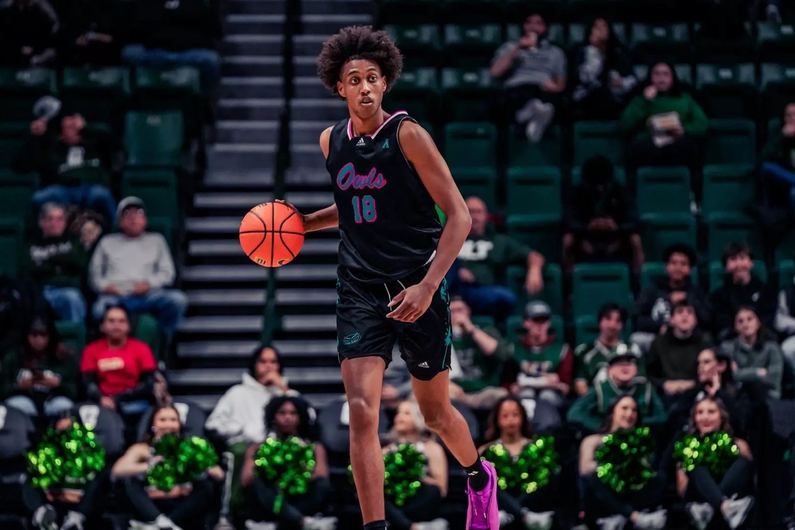 Top 5 Remaining Players in the Men's Transfer Portal That You Need To Know