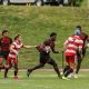 Two Wheeling Men's Soccer Players Set to Represent as Members of Wheeling Highlanders