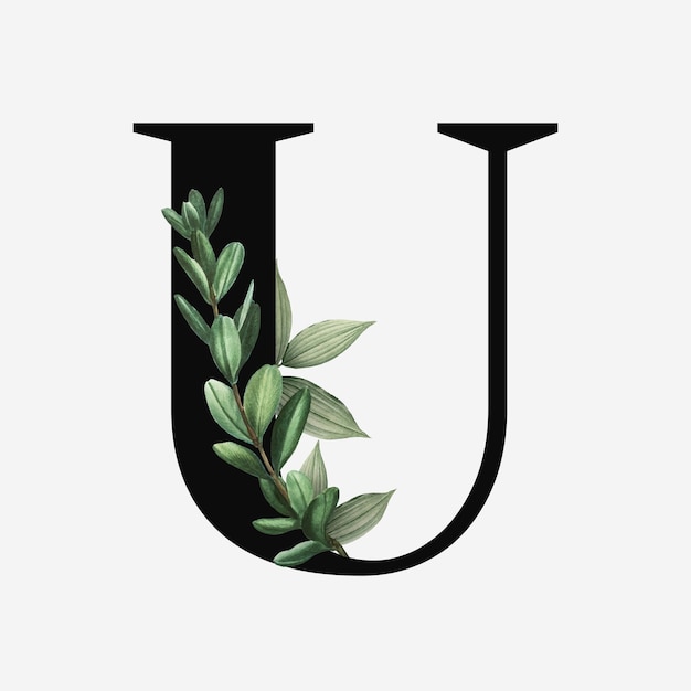 U