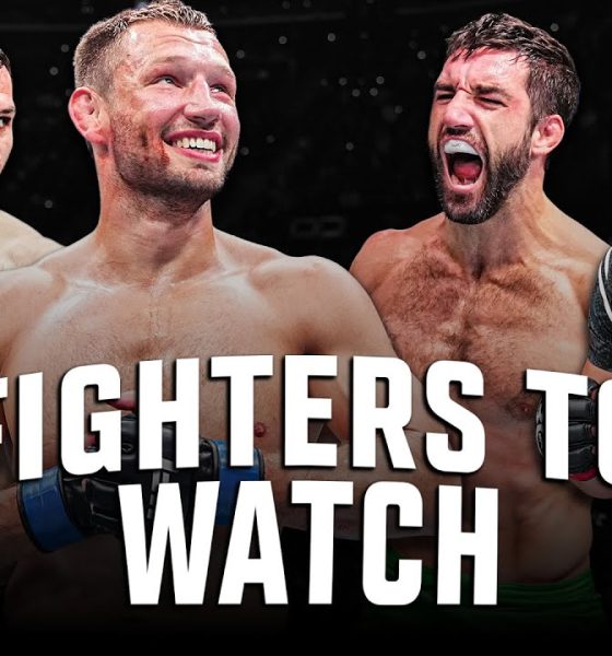UFC Des Moines Viewers Guide For Awesome May 3 Show