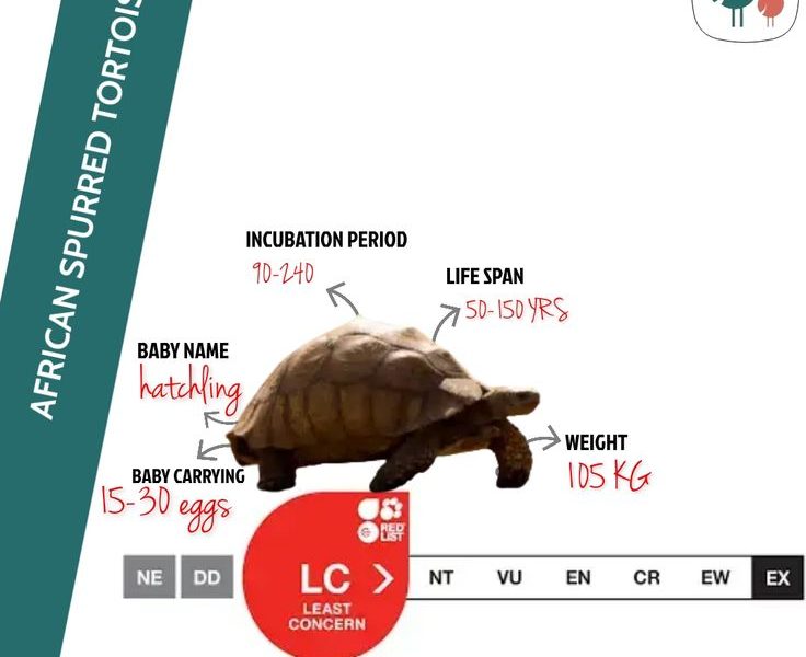 Wall Street poised to close the week with gains, spurred by 90