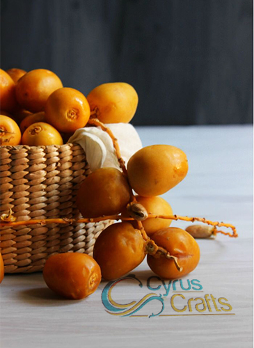 2025 Wimbledon women's picks, predictions, odds, dates