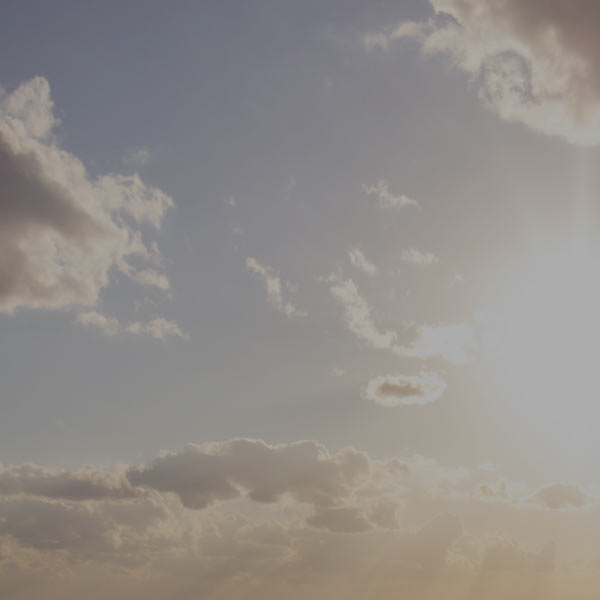 Chesapeake Baysox Oyster Catchers alternate logo supports cause