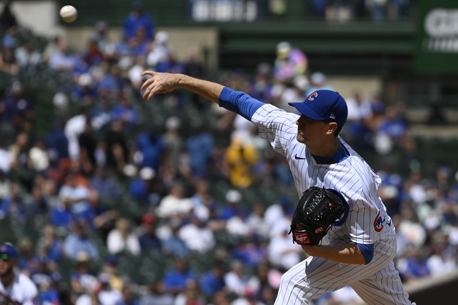 Chicago Cubs Minor League Wrap