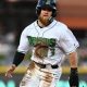 Cincinnati Reds Minor League Recap